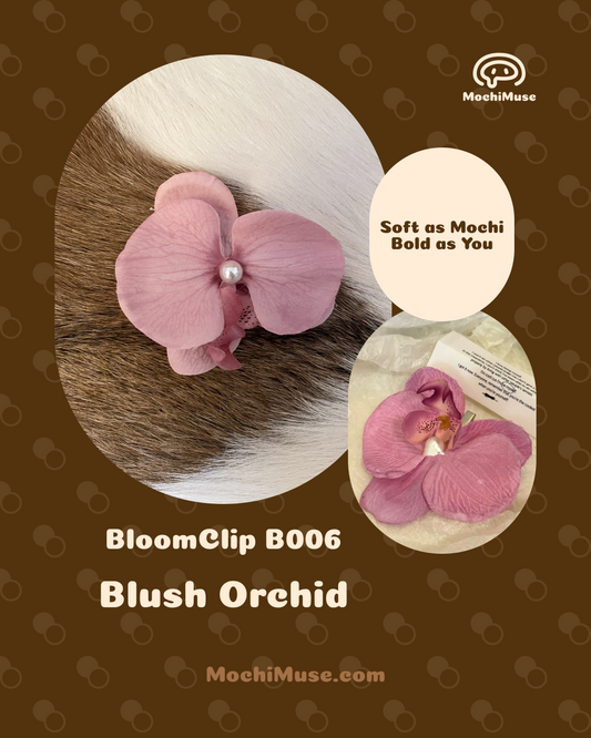 Blush Orchid